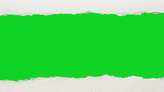 Curled textured white paper vertical peel revealing animated on a green screen chroma key background. It gives a high quality professional template design element for video compositing motion