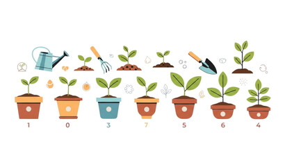Fototapeta premium Modern plant growth cycle with watering can and pots vector design