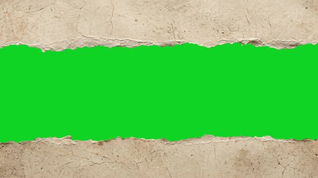 Curled grunge dirty paper vertical action revealing animated on a green screen chroma key background. It gives a high quality professional template design element for video compositing motion