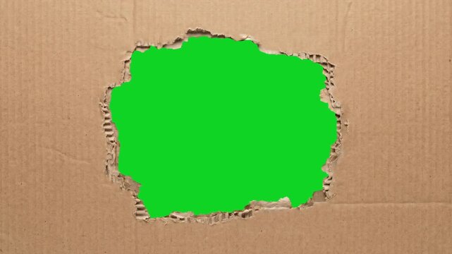 Corrugated cardboard torn center reveal revealing animated on a green screen chroma key background. It gives a high quality professional template design element for video compositing motion