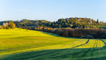 Fototapeta premium Large green fields stretch across the landscape of Moravia during spring. Trees outline the horizon, and sunlight casts shadows on the ground. The scene shows a quiet natural area.
