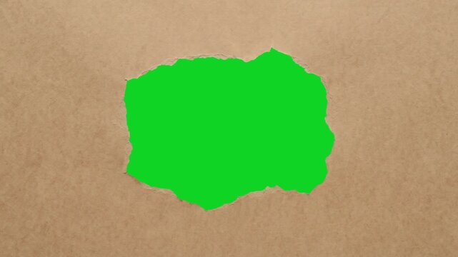 Brown craft paper peeling small gap rip revealing animated on a green screen chroma key background. It gives a high quality professional template design element for video compositing motion