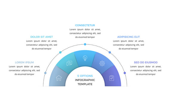 Semicircular infographic template with five options for business presentation, data visualization, or step-by-step workflow processes