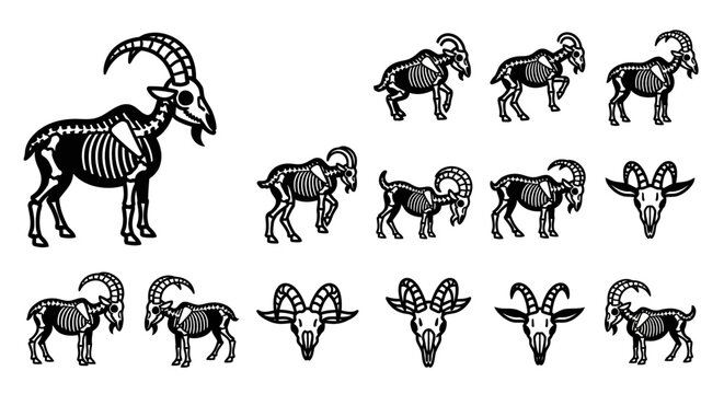 Goat illustrations in various poses.