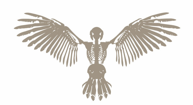 Metal Bird Decoration with Outstretched Wings.