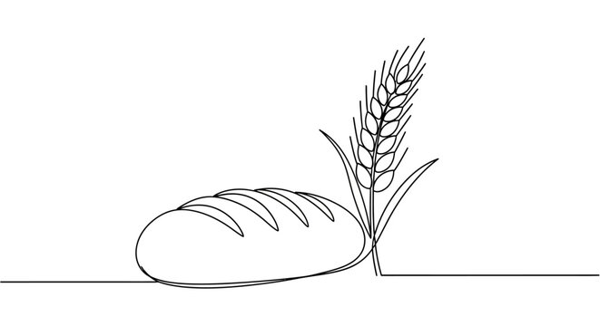 Continuous line art of bread loaf and wheat spike on white background