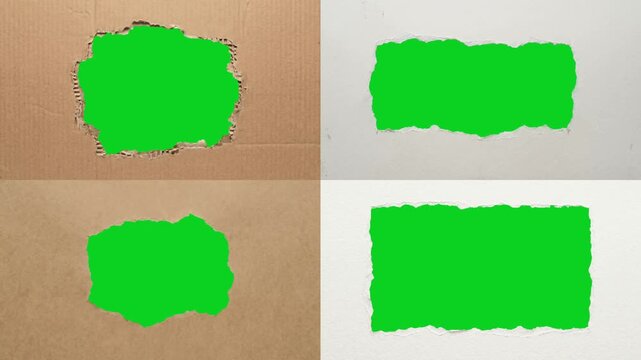 Collage four square jagged peeling gap papers revealing animated on a green screen chroma key background. It gives a high quality professional template design element for video compositing motion