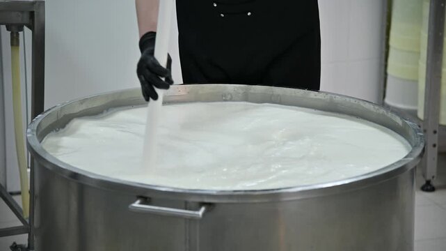 Worker stirs milk mixture in large stainless steel vat during cheese production