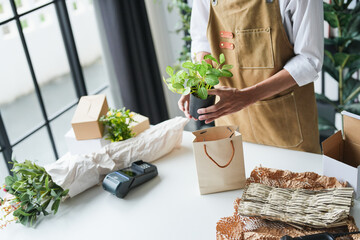 Asian Male Small Business Owner of Eco-Friendly Plant Shop Carefully Arranging Live Houseplants into Recyclable Kraft Paper Bags, Promoting Sustainable Greenery and Zero-Plastic Packaging