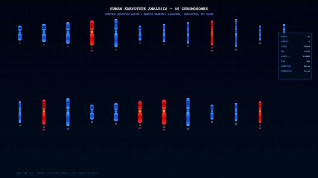 Sophisticated organoid growth monitoring software displays real time human karyotype analysis with scrolling chromosomal sequences and mutation detection results on a futuristic digital data screen