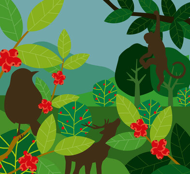 A stylized flat vector illustration of a lush tropical jungle featuring silhouettes of a monkey, a bird, and a deer among coffee plants with red berries.