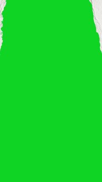 Vertical torn rough watercolor paper split gaps revealing animated on a green screen chroma key background. It gives a high quality professional template design element for video compositing