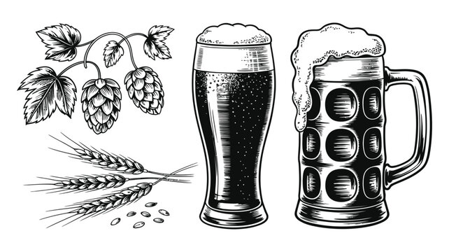 Vintage engraving illustration of beer glasses hop vines wheat stalks for brewing concepts beverage