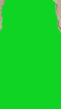 Vertical torn cardboard texture split center up revealing animated on a green screen chroma key background. It gives a high quality professional template design element for video compositing