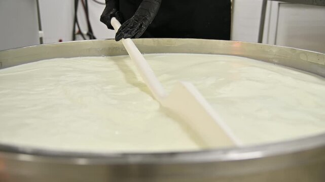 Mixing milk in large stainless steel vat for cheese production process