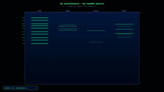 This scientific animation shows how CRISPR Genome Editing works through a digital gel electrophoresis process as DNA fragments migrate across the glowing blue laboratory display.