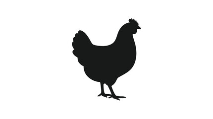 rooster isolated on white background © Fariaislam