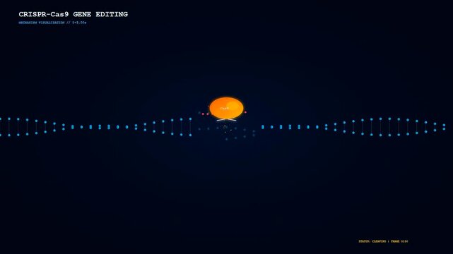 Detailed 3D medical animation illustrating the innovative CRISPR Genome Editing process where an enzyme binds to a target DNA strand to modify genetic information in cells.