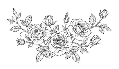 Fototapeta premium Elegant Rose Flower Bouquet Hand Drawn Illustration