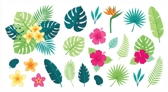 Tropical leaves and flowers vector collection, exotic jungle foliage set with monstera and hibiscus, botanical summer floral elements for wedding invitations