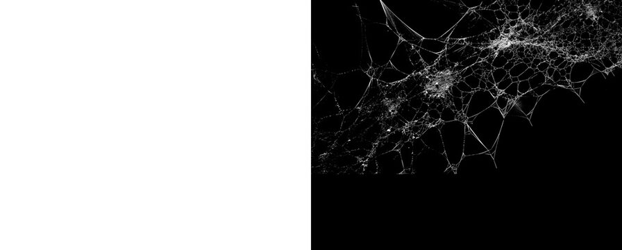 Complex spider web overlayed on grey checkerboard background.