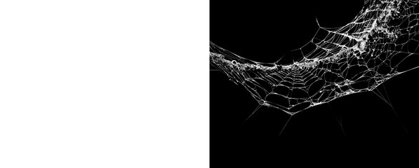 Ornate corner spider web overlay for halloween spooky holiday decoration. © Creative Png