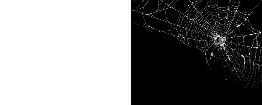 Tattered spider web with central hole on transparent background effect.