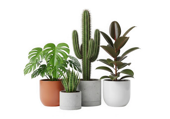 Fototapeta premium Group of various green potted plants in modern pots