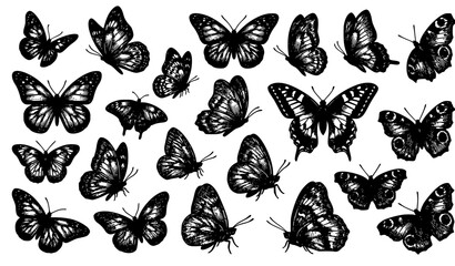 British Butterfly Collection Vintage Engraving Illustration © MSTNASIMABEGUM