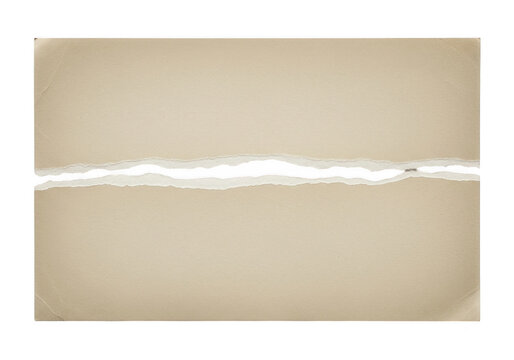 Single piece of aged paper torn exactly in half isolated on transparent background