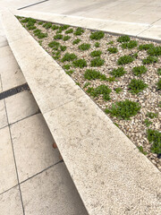 Obraz premium Concrete curb with greenery and white pebbles, clean urban garden edge