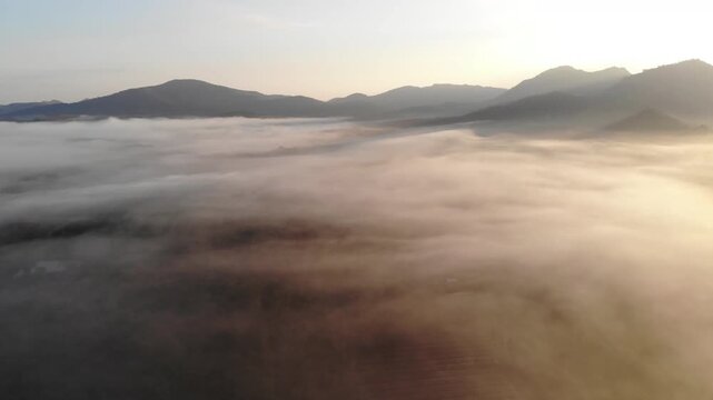 Beautiful scene view of misty in the morning with the mountain, farm, small village and forest at sunrise time in Loei province, Thailand.