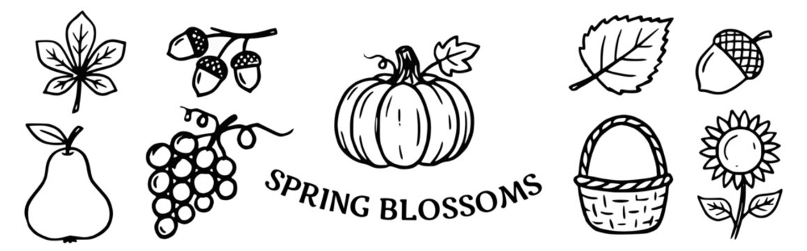 Spring blossoms Doodle Vector Illustration