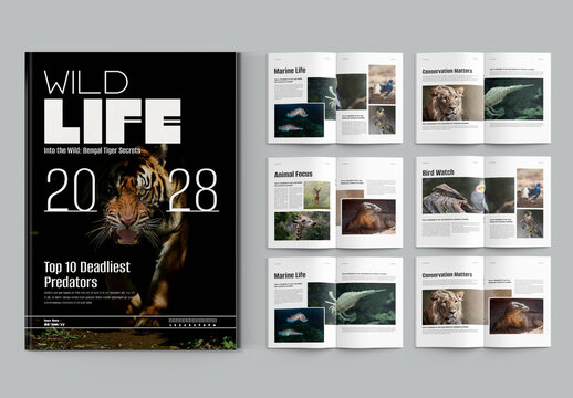 Professional Magazine Design Template For Wildlife And Nature