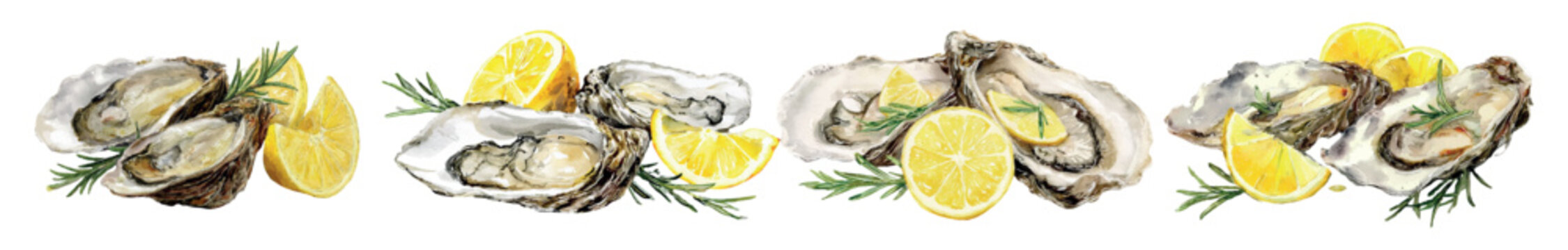 Fresh oysters in open shells with bright lemon slices and green rosemary sprigs, creating an elegant watercolor illustration of gourmet seafood appetizers