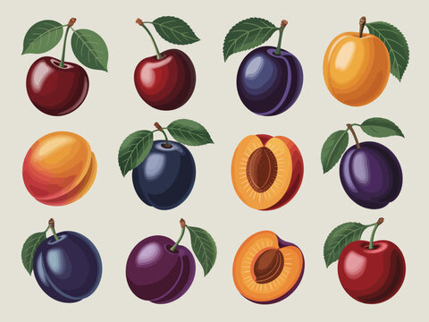Set of hand drawn stone fruits including cherries plums and apricots