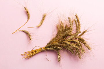 Fototapeta premium Sheaf of wheat ears close up and seeds on colored background. Natural cereal plant, harvest time concept. Top view, flat lay. world wheat crisis