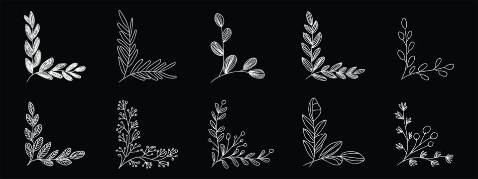 Hand-drawn botanical corner borders and floral elements set. Vector illustration of chalk style leaf branches, vintage wildflower frame ornaments, and rustic sketch invitation dividers.