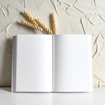 Open blank book with wheat against textured wall