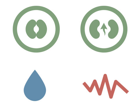 Illustrates plant stomata function: closed pore, open evaporating pore, humidity droplet, and thermal stress wave. Clean, modern graphic design. Ideal for science, botany, and environmental themes.