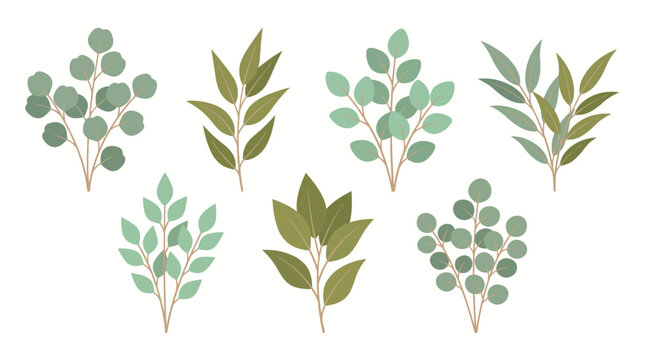 Watercolor botanical illustration featuring assorted leafy branches and soft foliage patterns for nature-inspired decor, design, and print projects.