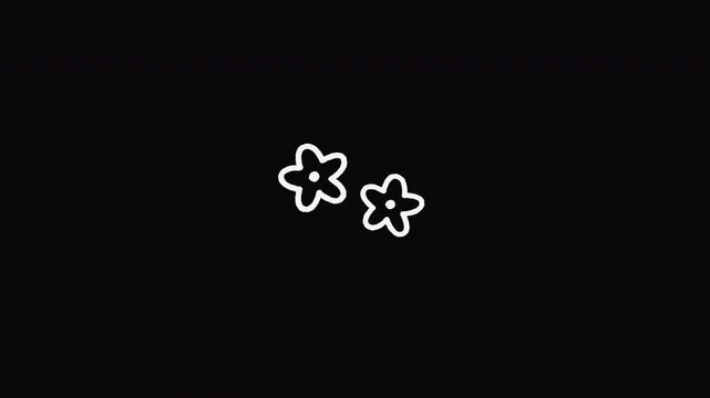 Two hand-drawn flowers with three motion variations.