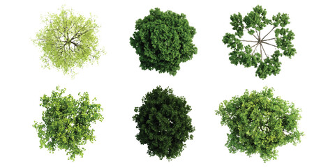 Fototapeta premium Set of six different green trees viewed from above for architectural landscape design plans