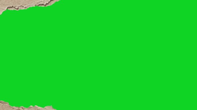 Torn cardboard texture horizontal rip revealing animated on a green screen chroma key background. It gives a high quality professional template design element for video compositing motion