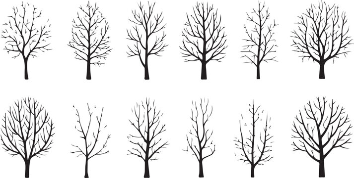 Leafless trees in winter landscape illustration