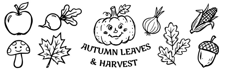 Obraz premium Autumn leaves and harvest Doodle Vector Illustration