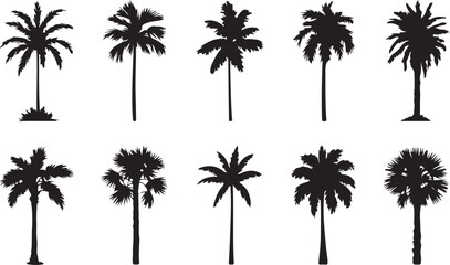 Obraz premium Black silhouette palm trees in a row