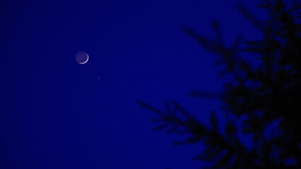 Fototapeta premium Blue hour time with crescent Moon, stars and planets above landscape silhouettes.