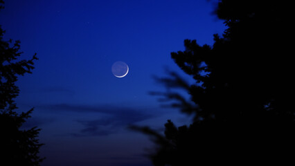 Fototapeta premium Blue hour time with crescent Moon, stars and planets above landscape silhouettes.