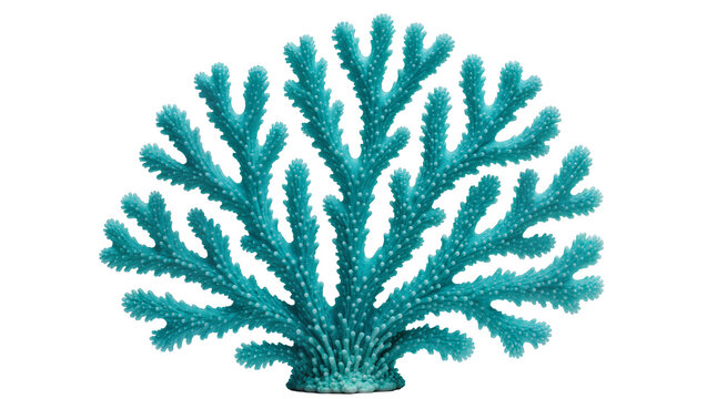 Turquoise branching coral structure detailed texture, isolated on transparent background